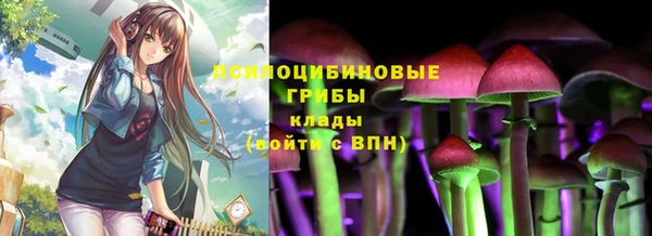 стафф Арсеньев