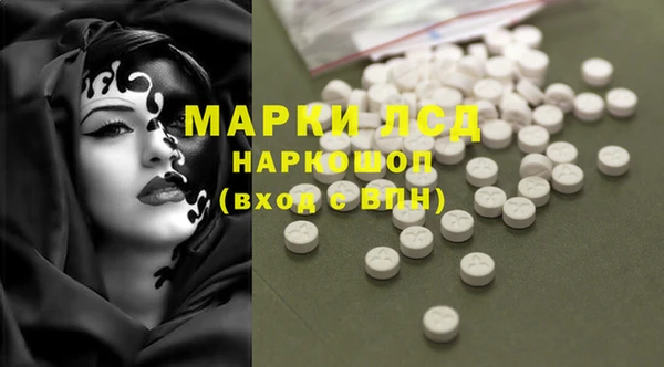 стафф Арсеньев