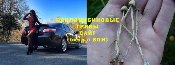 стафф Арсеньев